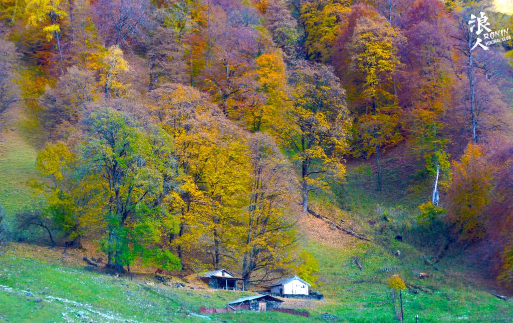 მოირონინე შემოდგომისფერი გუდამაყარი ოქტომბერს