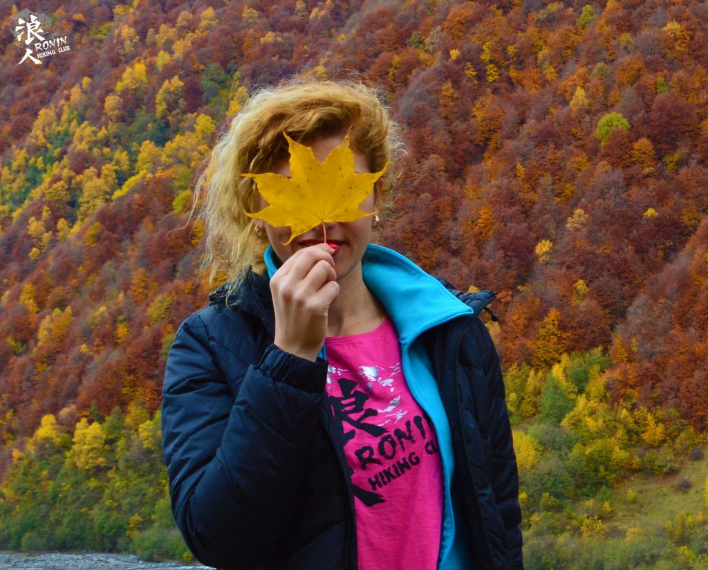 მოირონინე შემოდგომისფერი გუდამაყარი ოქტომბერს