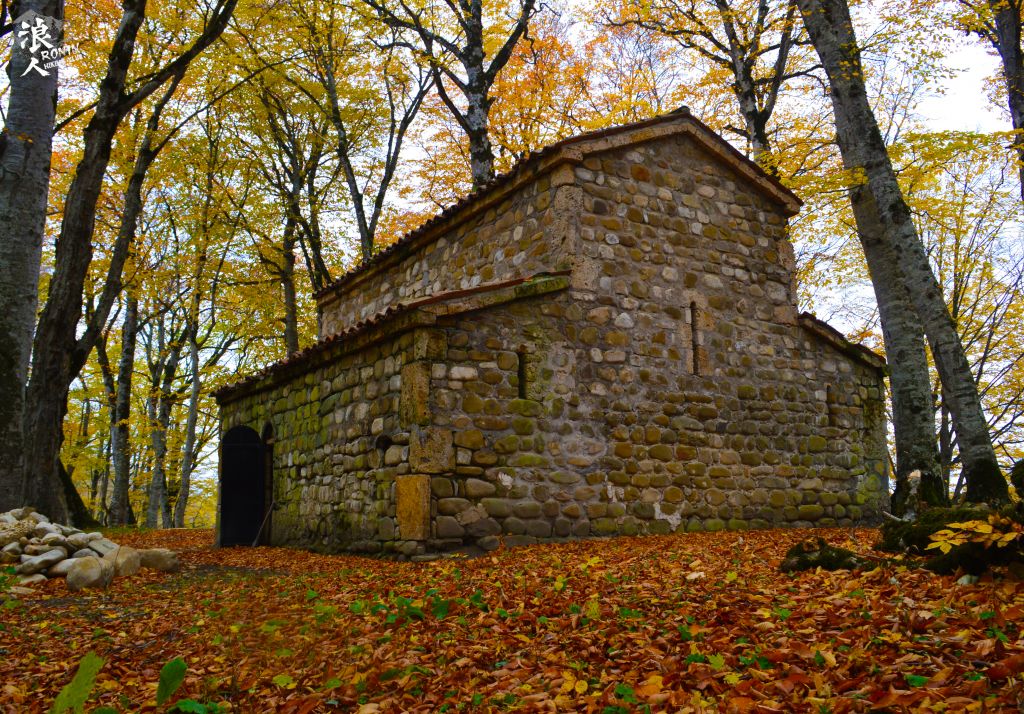 მოირონინე შემოდგომისფერი საბადურის ტყე