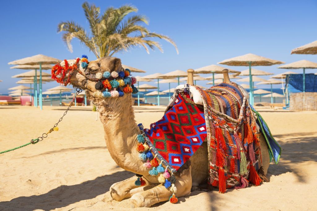 შარმ ელ შეიხი / ეგვიპტე - All Inclusive - დღე