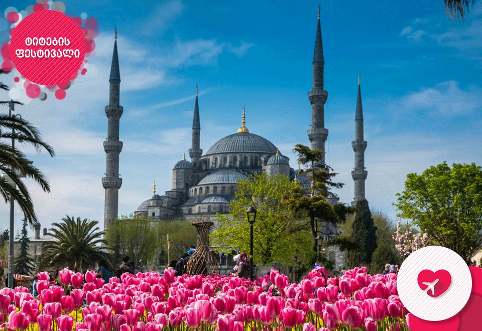 ტიტების ფესტივალი სტამბულში