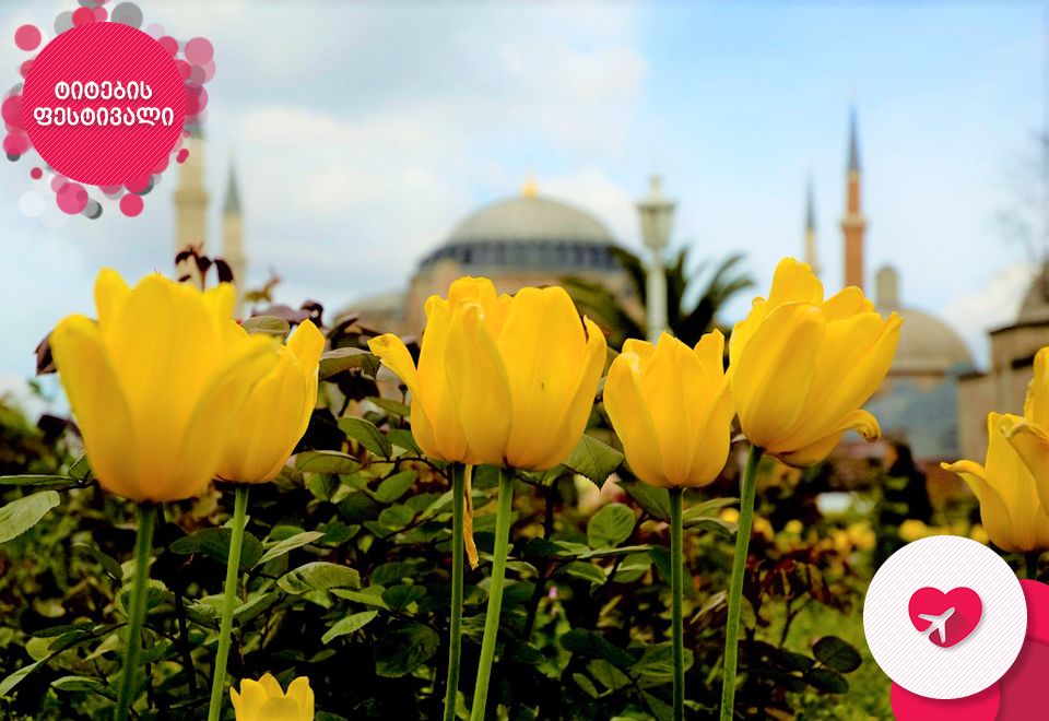 ტიტების ფესტივალი სტამბულში