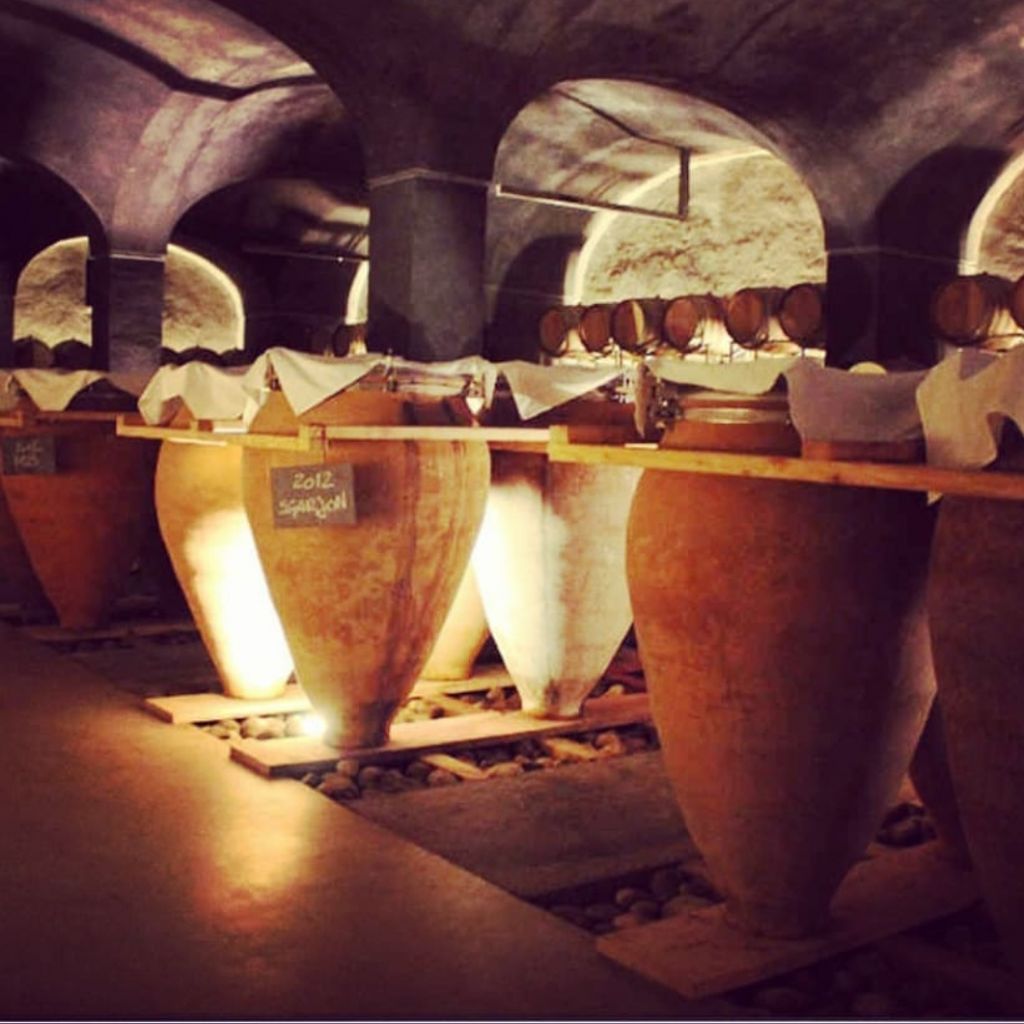 Wine tours in cradle of wine