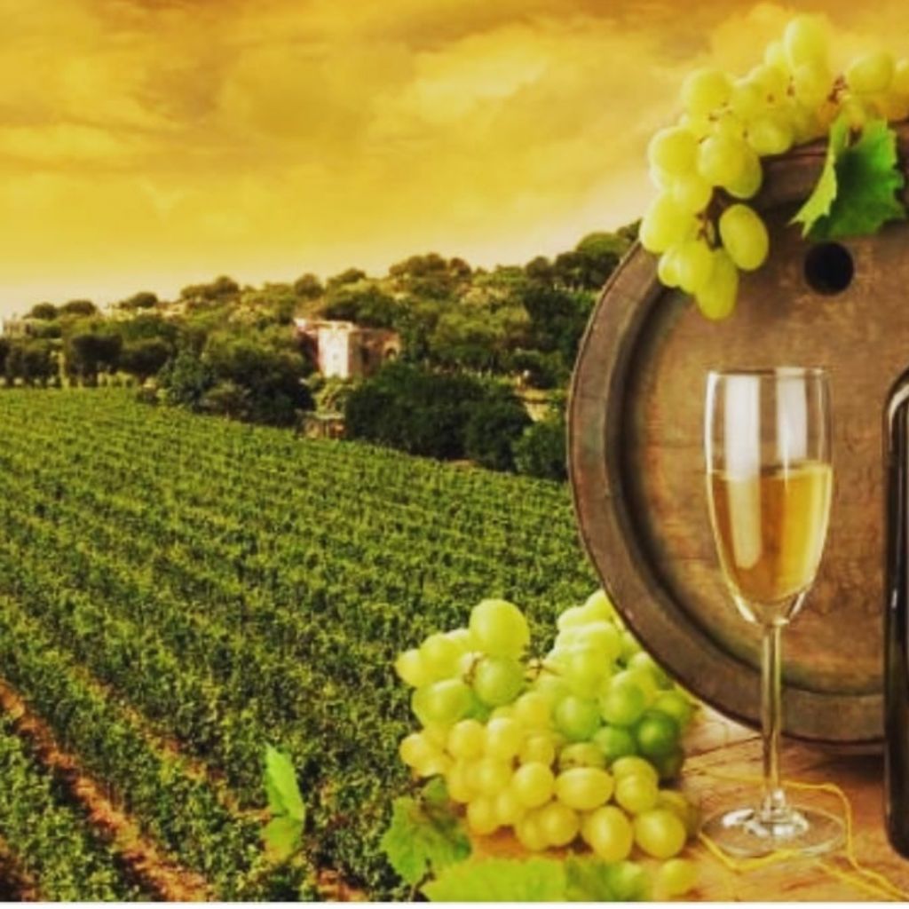 Wine tours in cradle of wine