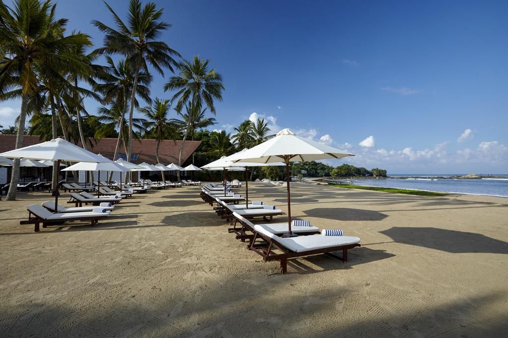 "ეგზოტიკა გელით"