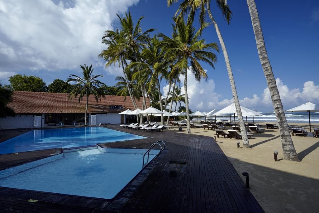 "ეგზოტიკა გელით"