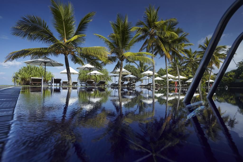 "ეგზოტიკა გელით"