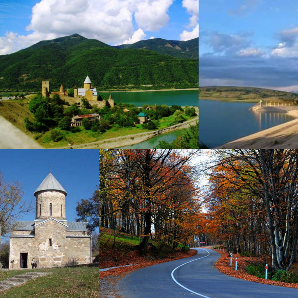 day tour of Sabaduri forest