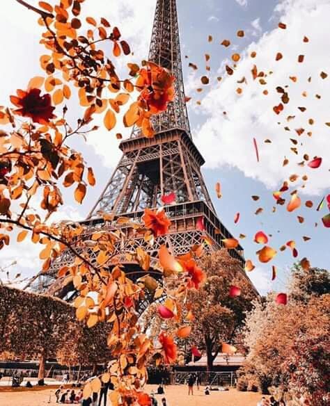 პარიზი ნოემბერში!