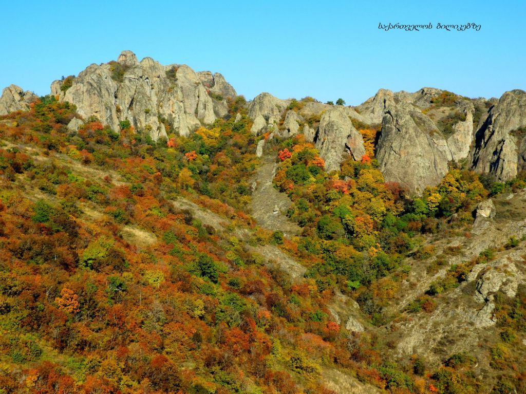ბირთვისი