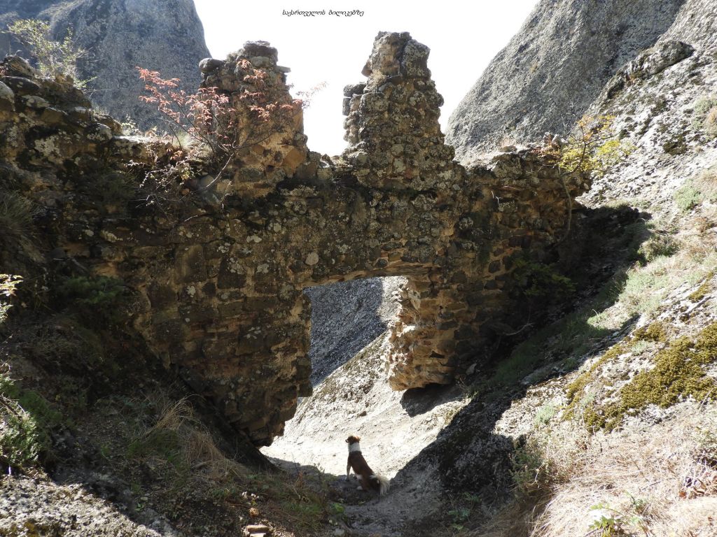 ბირთვისი