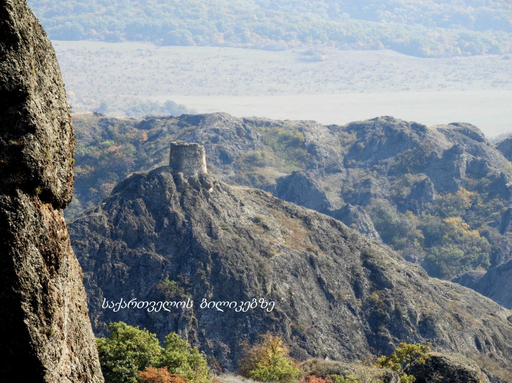 ბირთვისი