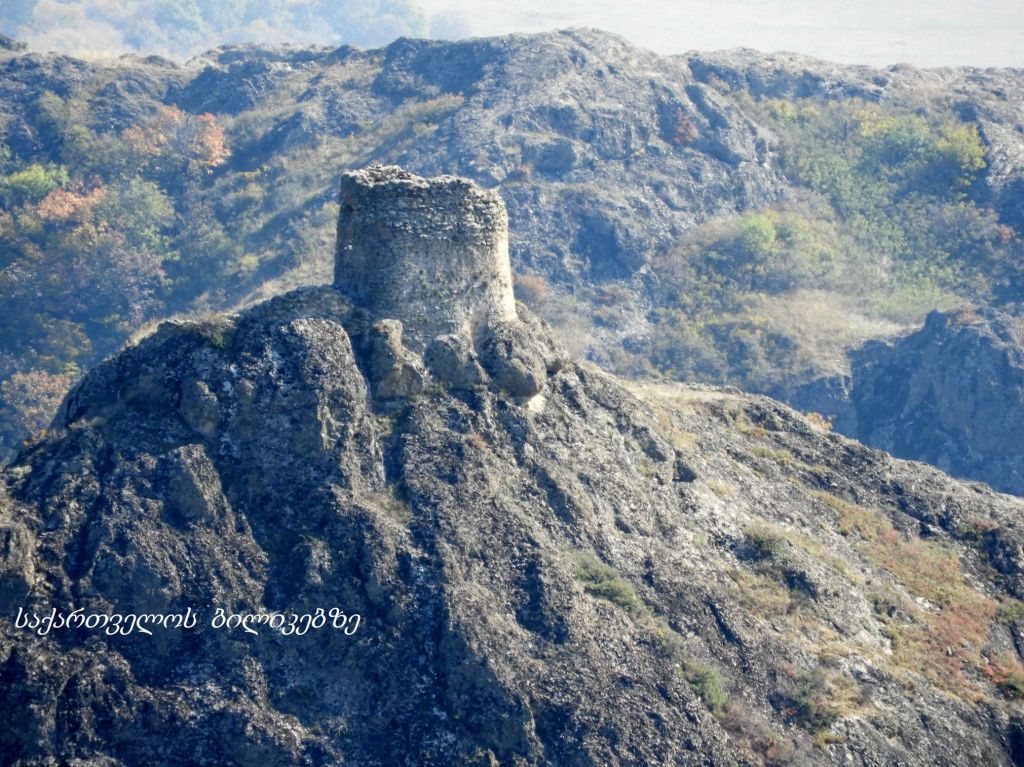 ბირთვისი