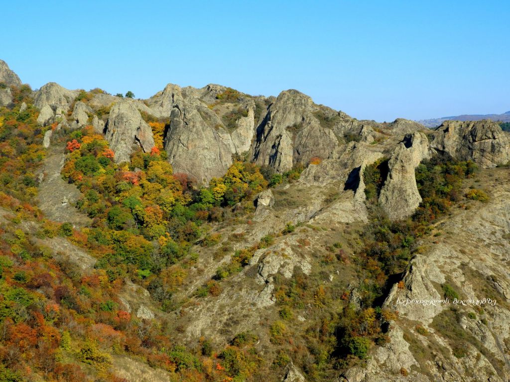 ბირთვისი