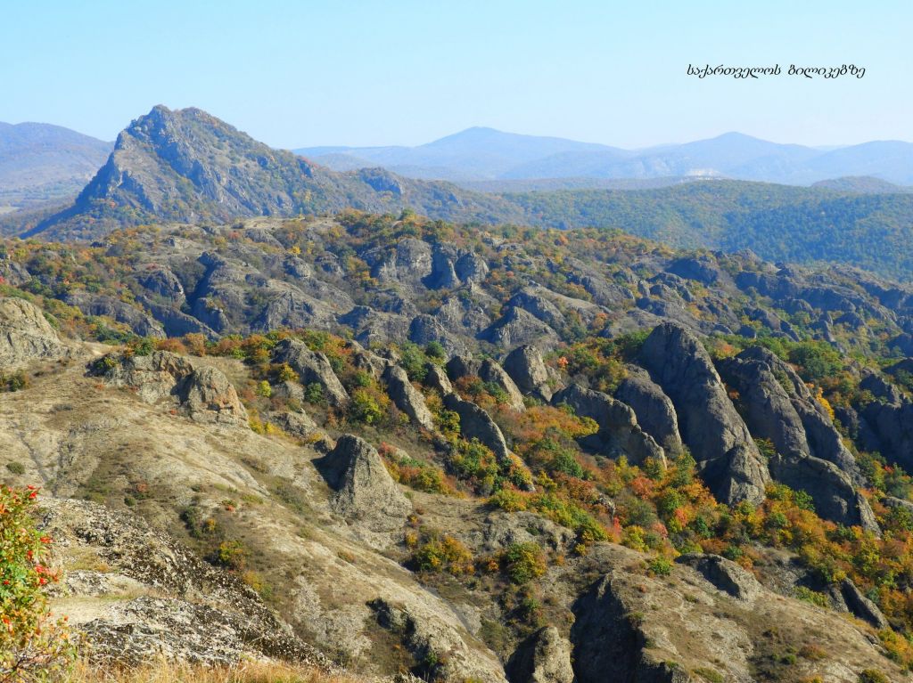 ბირთვისი