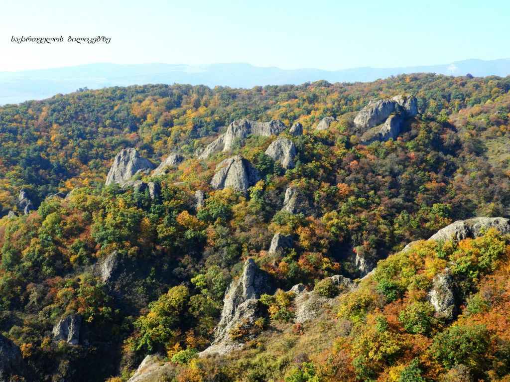 ბირთვისი
