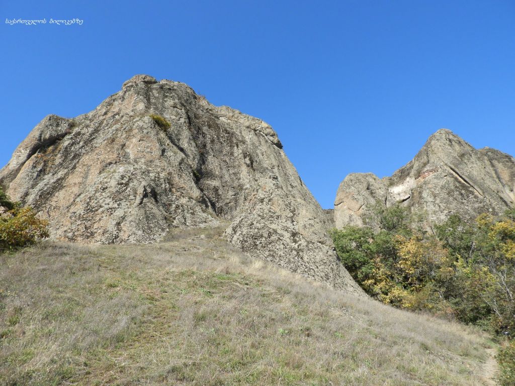 ბირთვისი