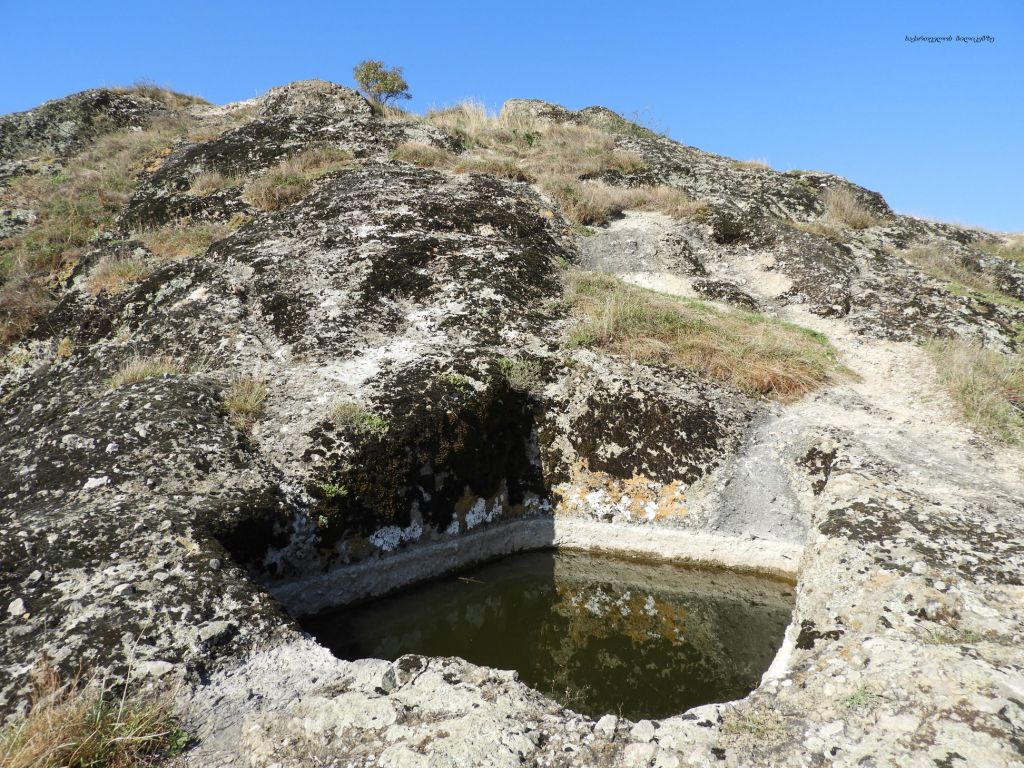 ბირთვისი