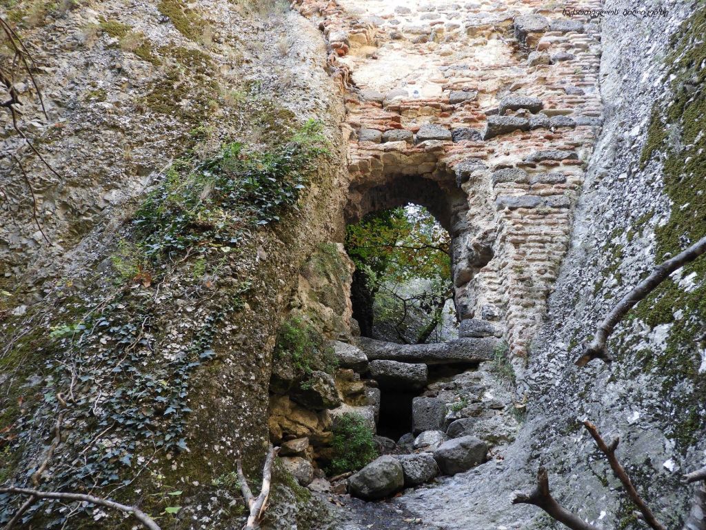 ბირთვისი