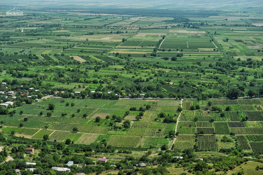 ბოდბე სიღნაღი, მარტყოფი, ნინოწმინდა, მანავი