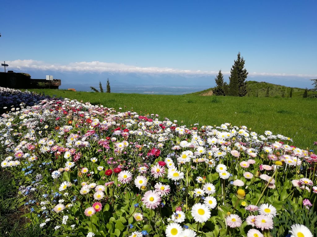 ბოდბე სიღნაღი, მარტყოფი, ნინოწმინდა, მანავი