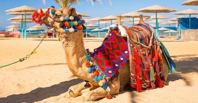 შარმ-ელ-შეიხი სრული პაკეტი !