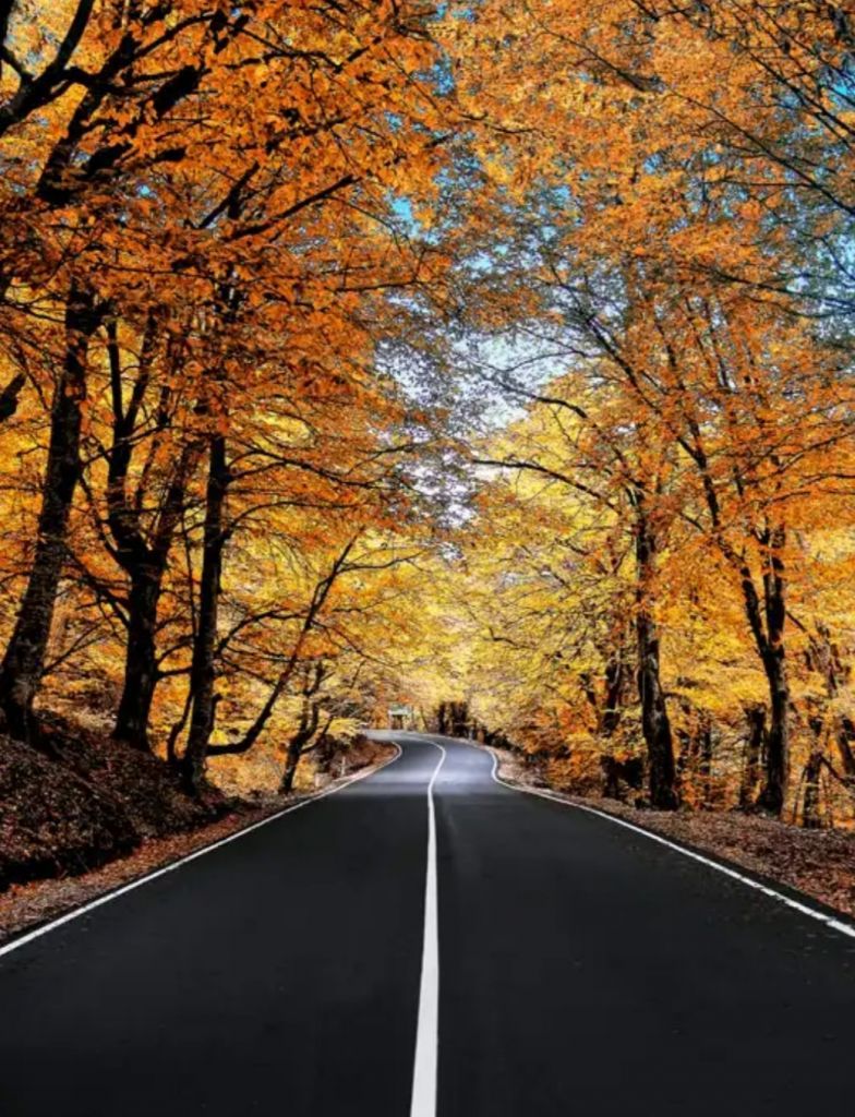 შემოდგომა კახეთში-სიღნაღი-ბოდბე-ყვარელი-წინანდალი....