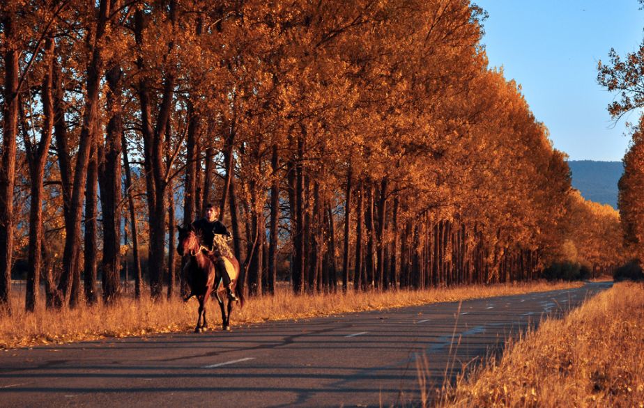 ტური საბადურის ტყეში !