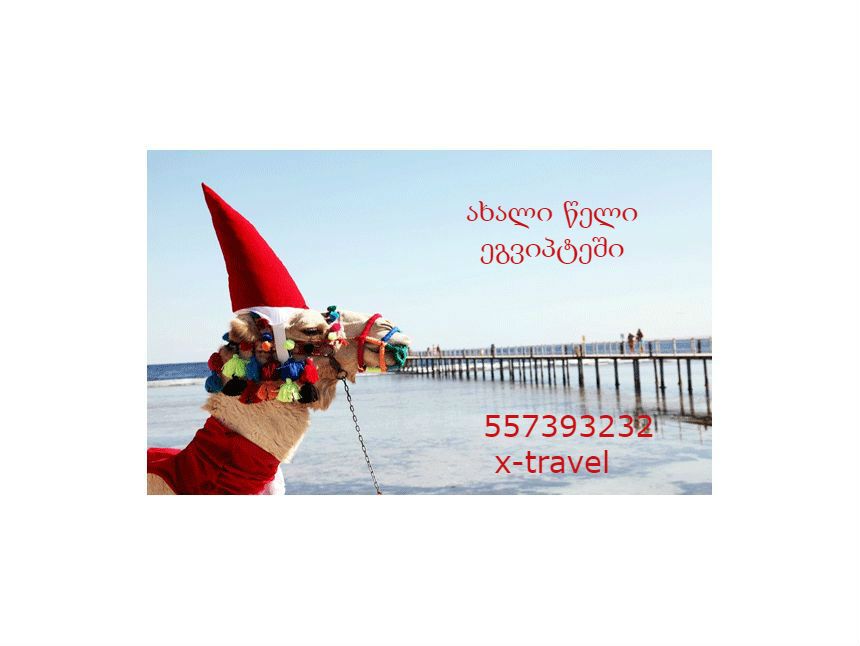 საახალწლო ტური ეგვიპტეში