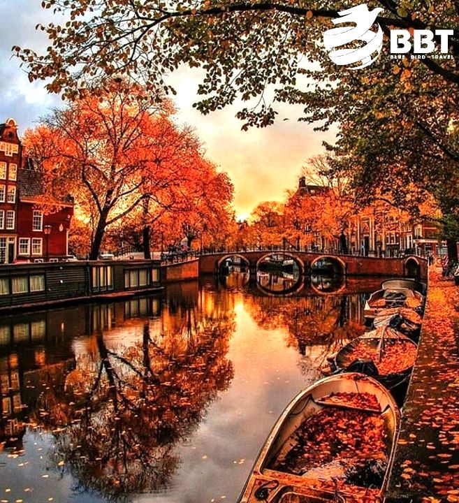 ამსტერდამი - !