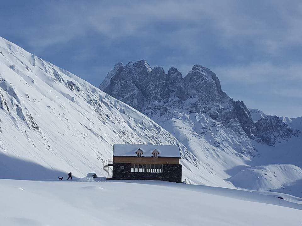 თოვლიანი ჯუთა (ირბისი)