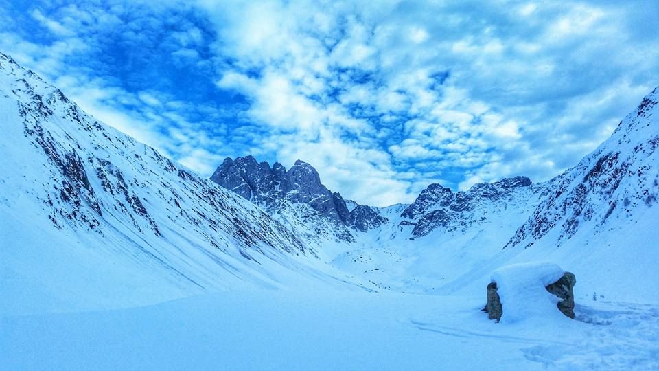 თოვლიანი ჯუთა (ირბისი)