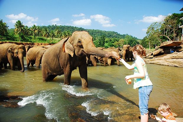 შრი ლანკა