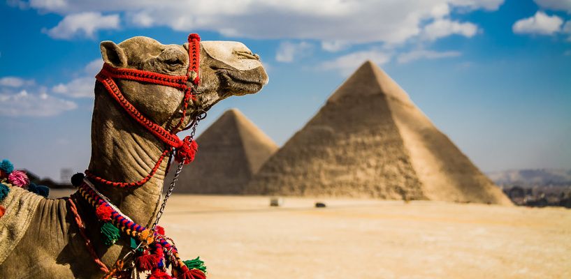 მოგზაურობა ეგვიპტეში 