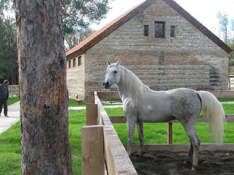 ქანდა, მუხრანი, ბაზალეთი, წილკანი ძალისი მჭადიჯვარი