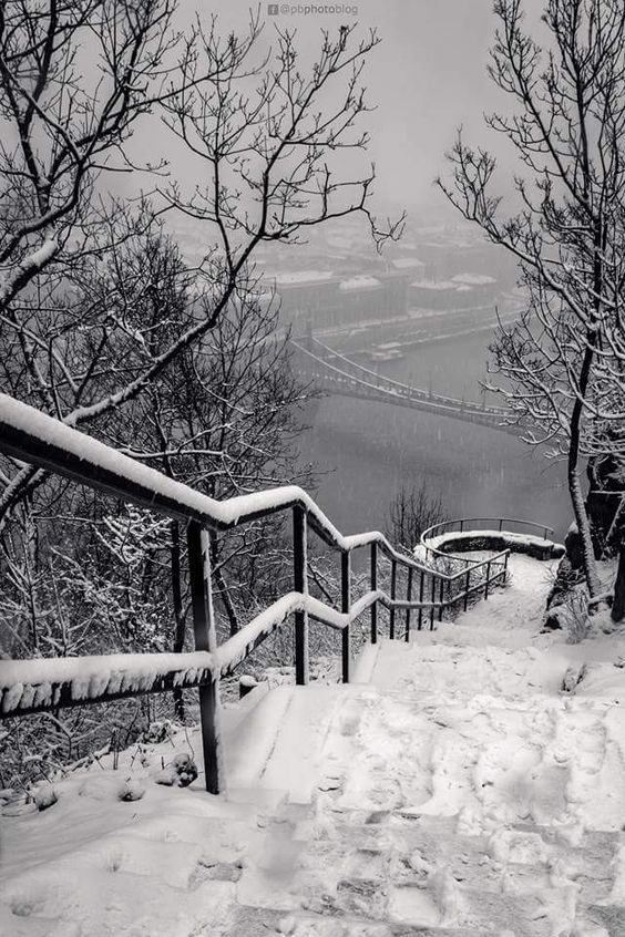 ბუდაპეშტი