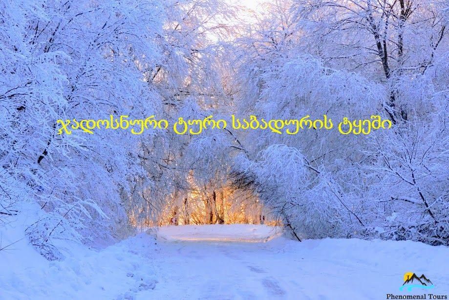 ჯადოსნური ტური საბადურის ტყეში