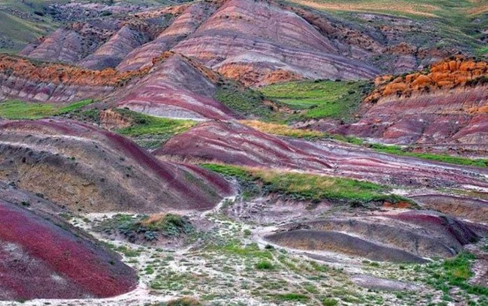 აქცია! გარეჯ-ნათლისმცემელი ლ ! ! ! ! + ფერად უდაბნო და პიკნი