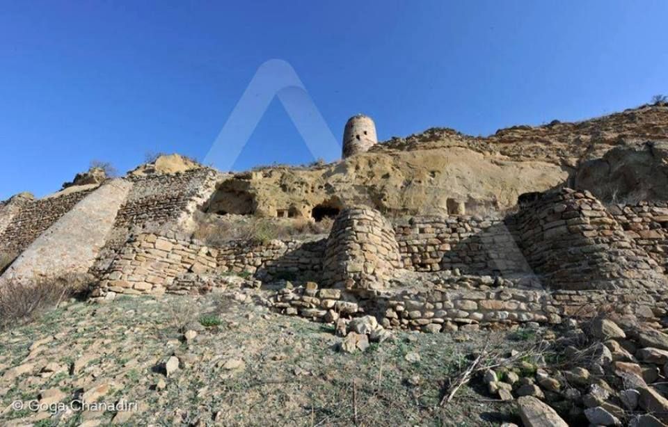 აქცია! გარეჯ-ნათლისმცემელი ლ ! ! ! ! + ფერად უდაბნო და პიკნი