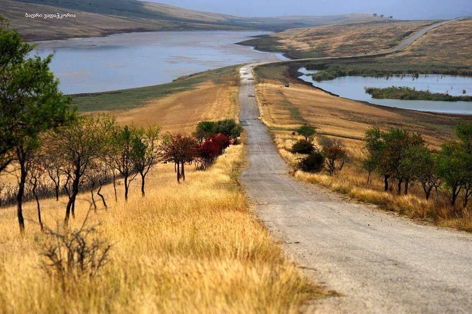 აქცია! გარეჯ-ნათლისმცემელი ლ ! ! ! ! + ფერად უდაბნო და პიკნი