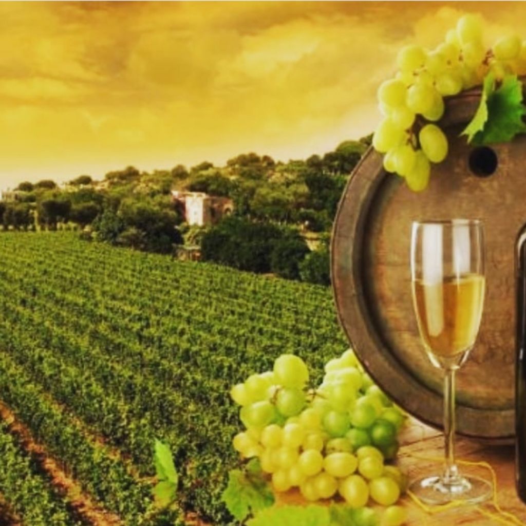Wine tours in cradle of wine