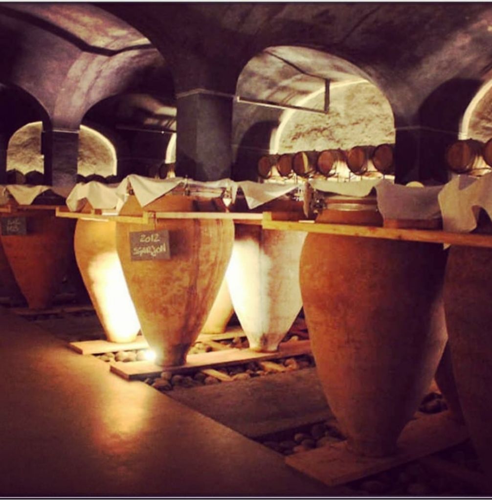 Wine tours in cradle of wine