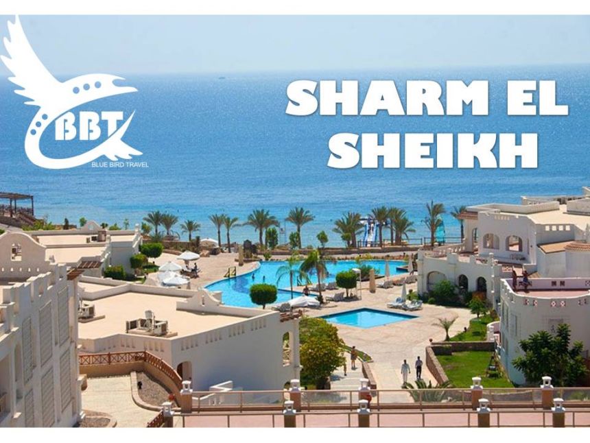 აქცია!!! იჩქარეთ!