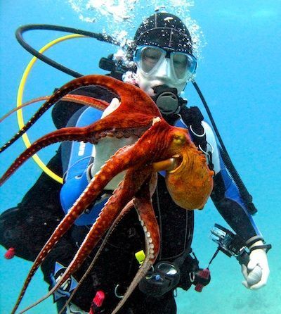 შარმ ელ შეიხი !