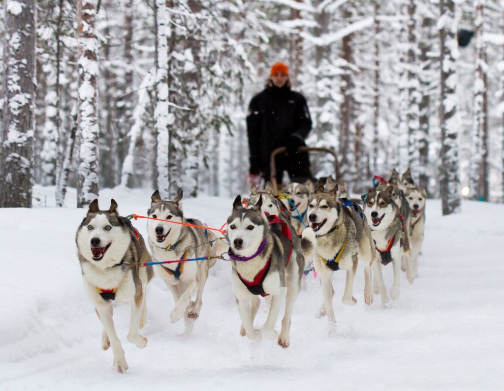 Lapland - winter holidays for  GEL!