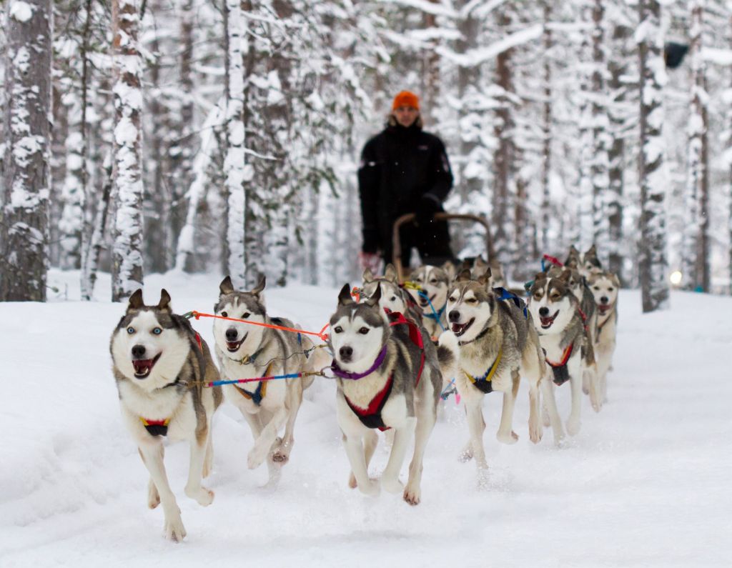 Lapland - winter holidays for 1880 GEL!