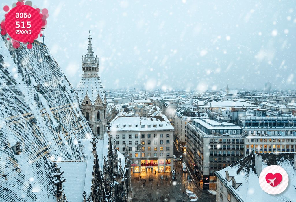 ვენის ტური იანვარში