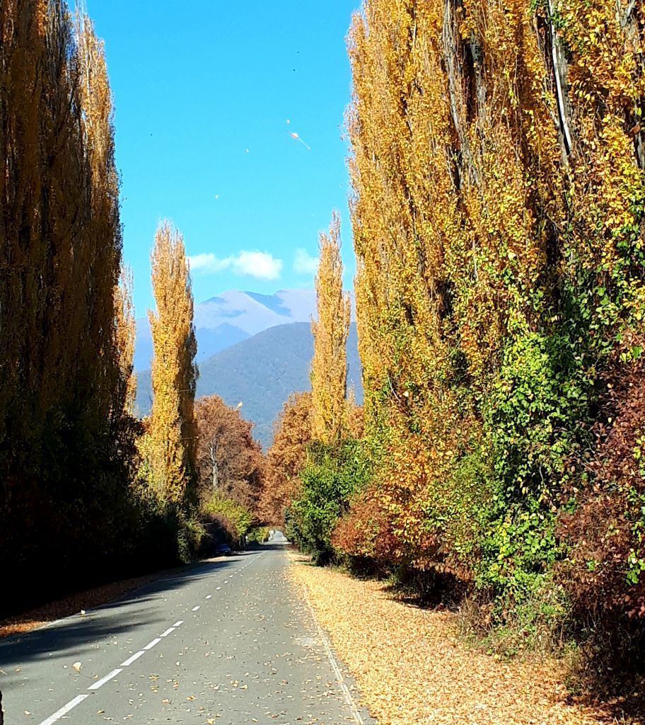 სიღნაღი-ბოდბე-ყვარელი-წინანდალი....
