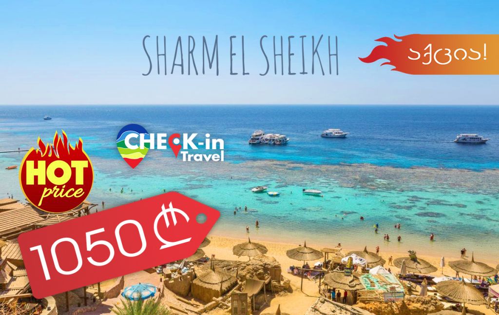 ⭐ აქცია! ეგვიპტე !