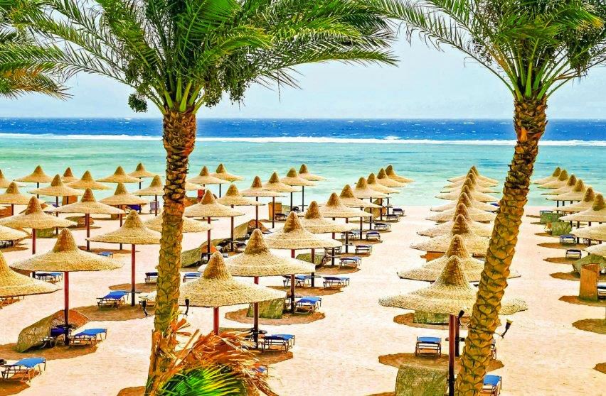 ⭐ აქცია! ეგვიპტე !